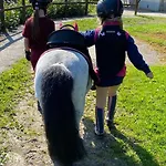Heidegut Reitsportanlage Und * Eschede