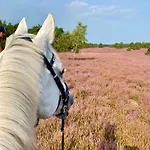 Heidegut Reitsportanlage Und * Eschede