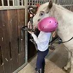 Heidegut Reitsportanlage Und Prázdninový dům Eschede