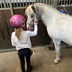 Heidegut Reitsportanlage Und Dom wakacyjny Eschede