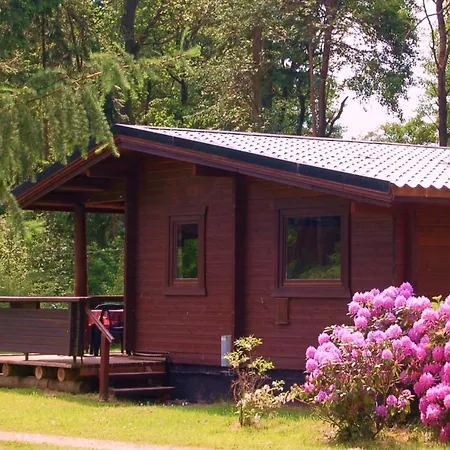 Heidegut Reitsportanlage Und * Eschede