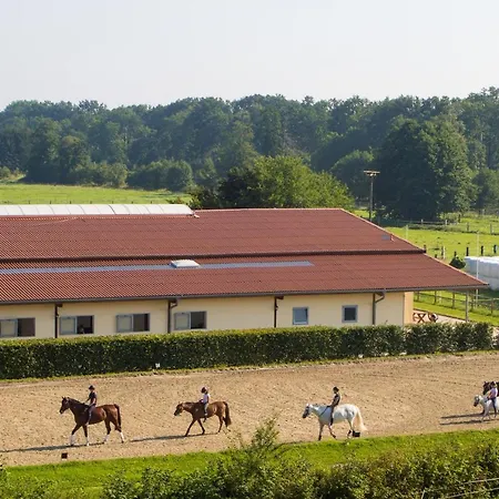 Holiday home Heidegut Reitsportanlage Und