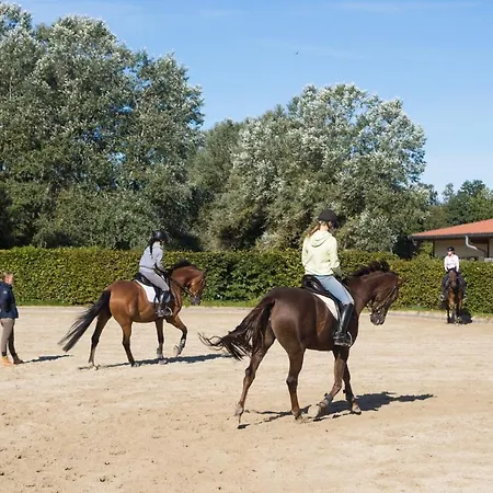Prázdninový dům Heidegut Reitsportanlage Und Eschede