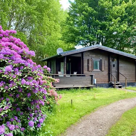 Ferienhaus Heidegut Reitsportanlage Und Eschede