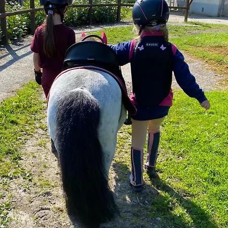 Heidegut Reitsportanlage Und * Eschede