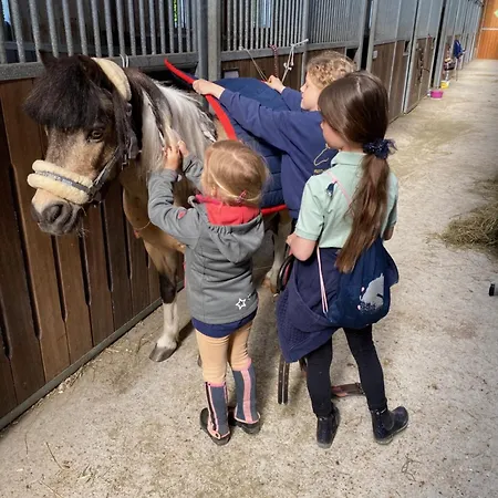 Heidegut Reitsportanlage Und Holiday home *
