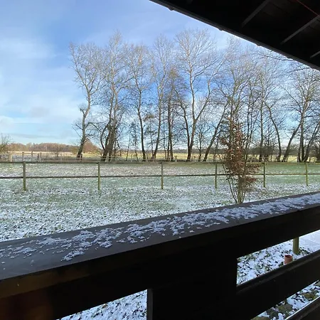 Heidegut Reitsportanlage Und Holiday home *