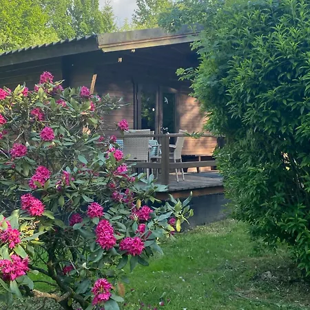 Heidegut Reitsportanlage Und *