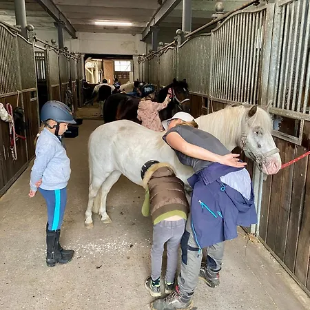 Heidegut Reitsportanlage Und Holiday home *