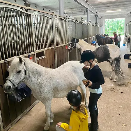 Ferienhaus Heidegut Reitsportanlage Und *