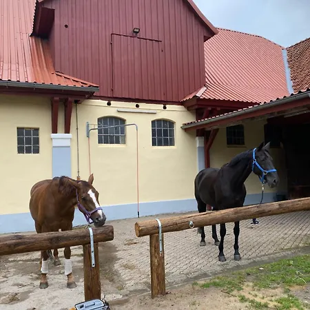Heidegut Reitsportanlage Und Holiday home Eschede