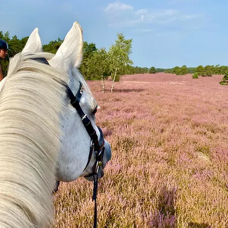 Heidegut Reitsportanlage Und * Eschede