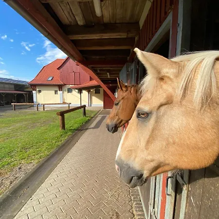 Ferienhaus Heidegut Reitsportanlage Und