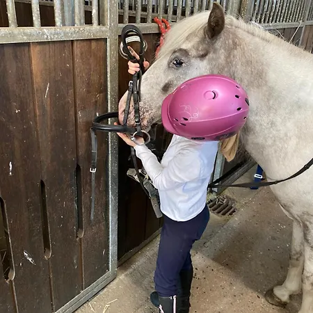 Heidegut Reitsportanlage Und Holiday home Eschede