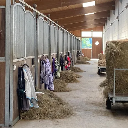 Feriehus Heidegut Reitsportanlage Und