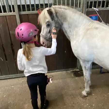 Heidegut Reitsportanlage Und Tatil Evi Eschede