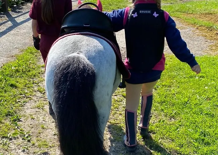 Heidegut Reitsportanlage Und * Eschede
