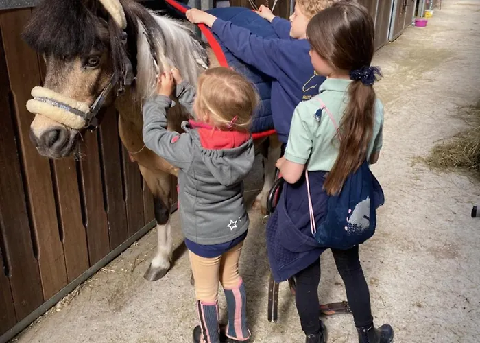 Heidegut Reitsportanlage Und Semesterbostad *