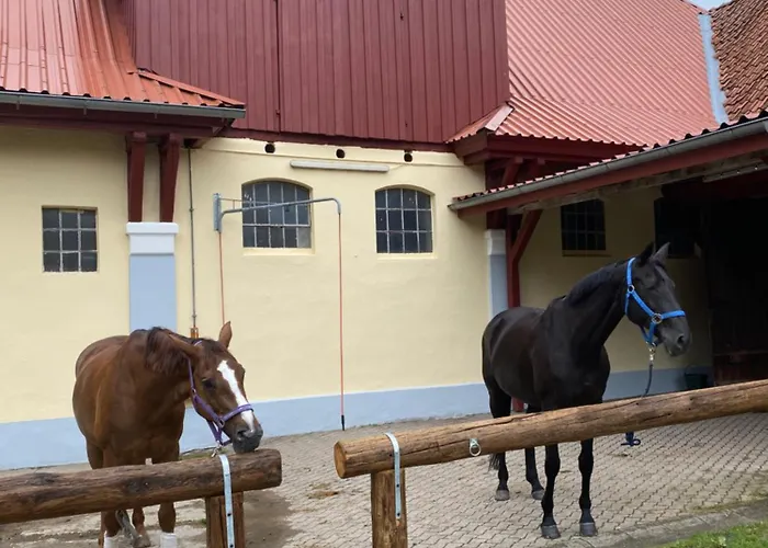 Heidegut Reitsportanlage Und Semesterbostad Eschede