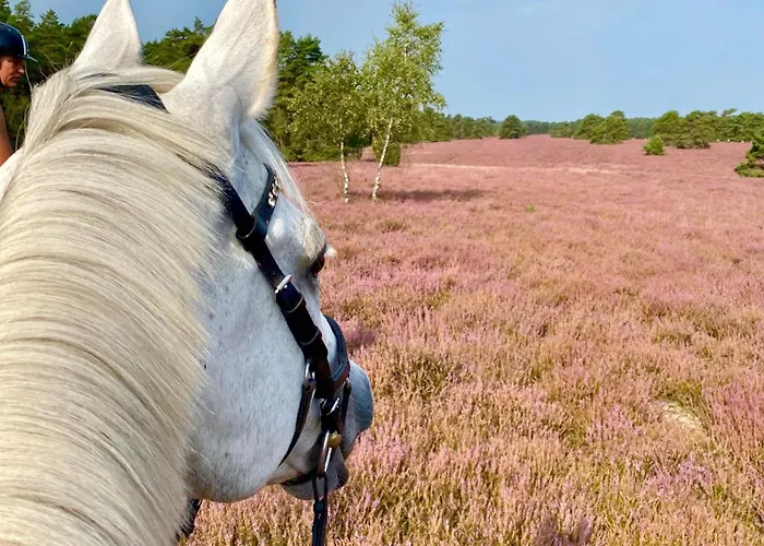 Heidegut Reitsportanlage Und * Eschede