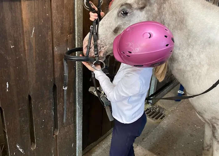 Heidegut Reitsportanlage Und Tatil Evi Eschede