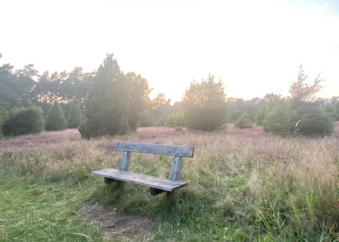 Heidegut Reitsportanlage Und Eschede