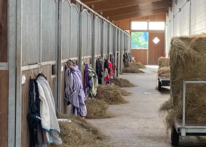 Semesterbostad Heidegut Reitsportanlage Und