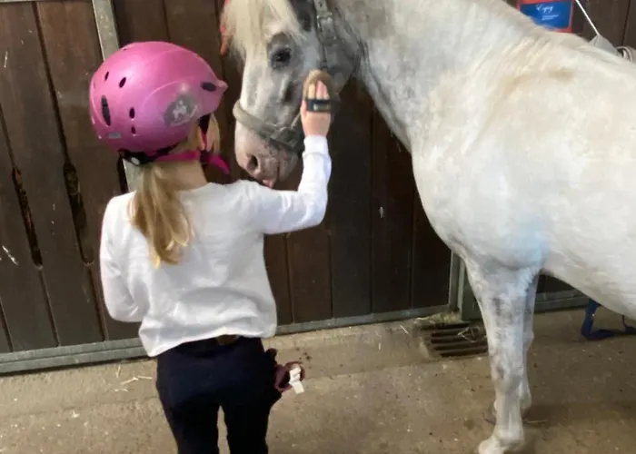 Heidegut Reitsportanlage Und Semesterbostad Eschede